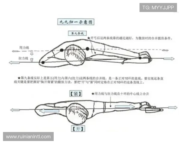 全面提升身体素质的健身指南 从基础动作到进阶训练的全方位解析