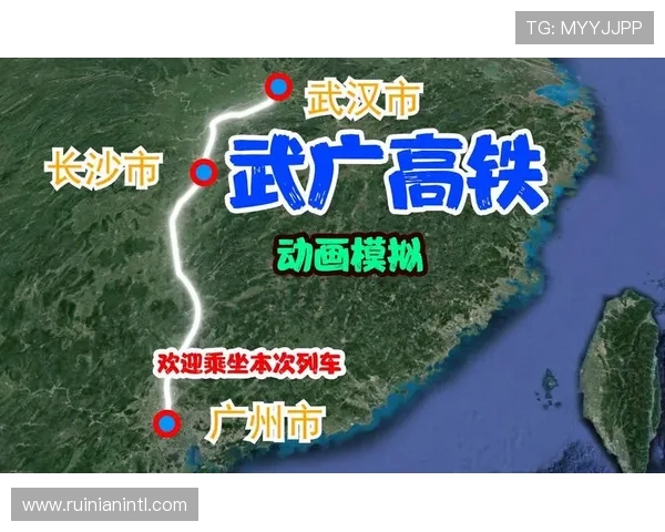 武汉篮球队运营分析：成功经验与不足之处的深度探讨